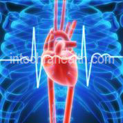 Moderate Exercise for 1 Hour Daily Can Improve Heart Health