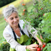 Health Conscious Edible Gifts for Grandparents Day