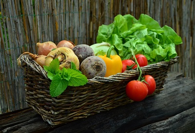 Vegetable garden for eating healthy on a budget
