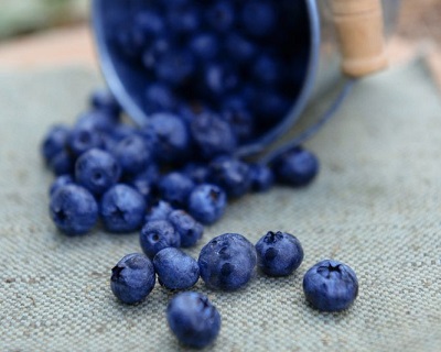 10 Foods That Have High Antioxidant Levels