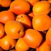 4 Incredible Health Benefits of Apricots